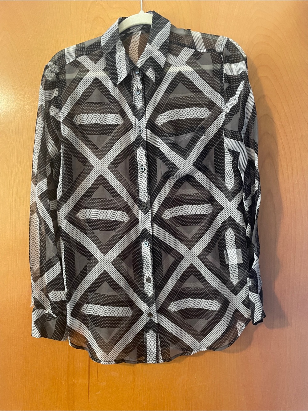 Equipment Femme Silk Sheer Long Sleeve Bold Print Small Button Front Blouse